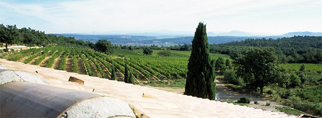 deffends rose du var